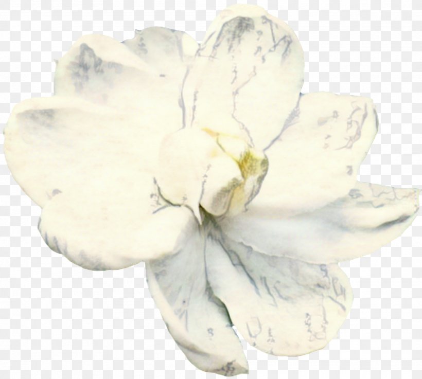 Flowers Background, PNG, 1918x1724px, Petal, Cut Flowers, Flower, Gardenia, Magnolia Download Free