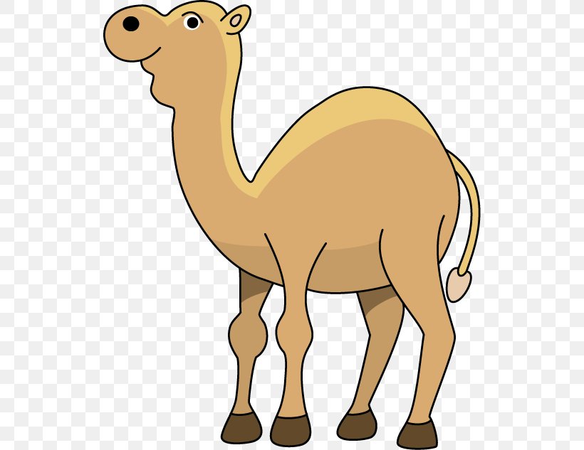 Dromedary Middle East Respiratory Syndrome Cartoon Clip Art, PNG, 530x633px, Dromedary, Animal, Animal Figure, Arabian Camel, Camel Download Free