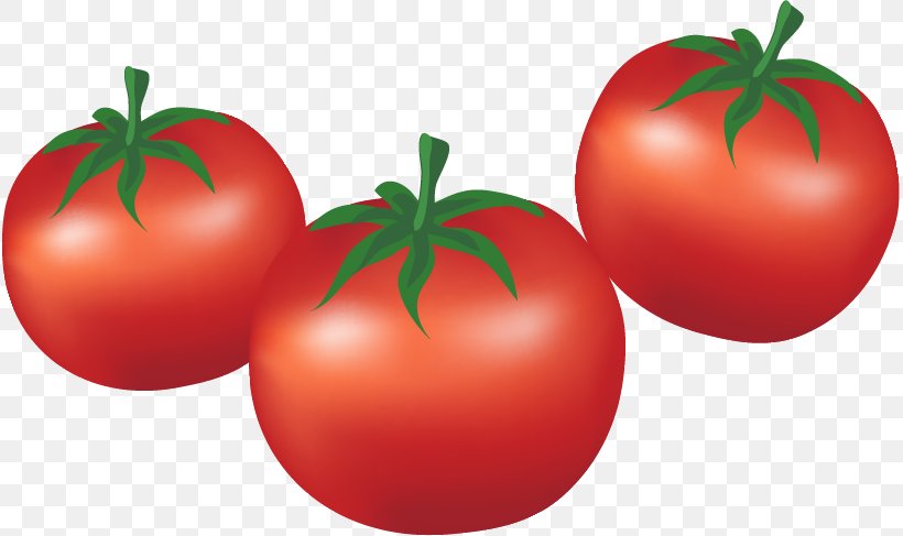 Plum Tomato Bush Tomato Cartoon Vegetable, PNG, 815x487px, Plum Tomato, Animation, Apple, Bush Tomato, Cartoon Download Free