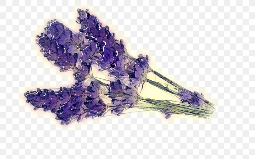 Lavender, PNG, 750x512px, Lavender, Amethyst, English Lavender, Flower, French Lavender Download Free
