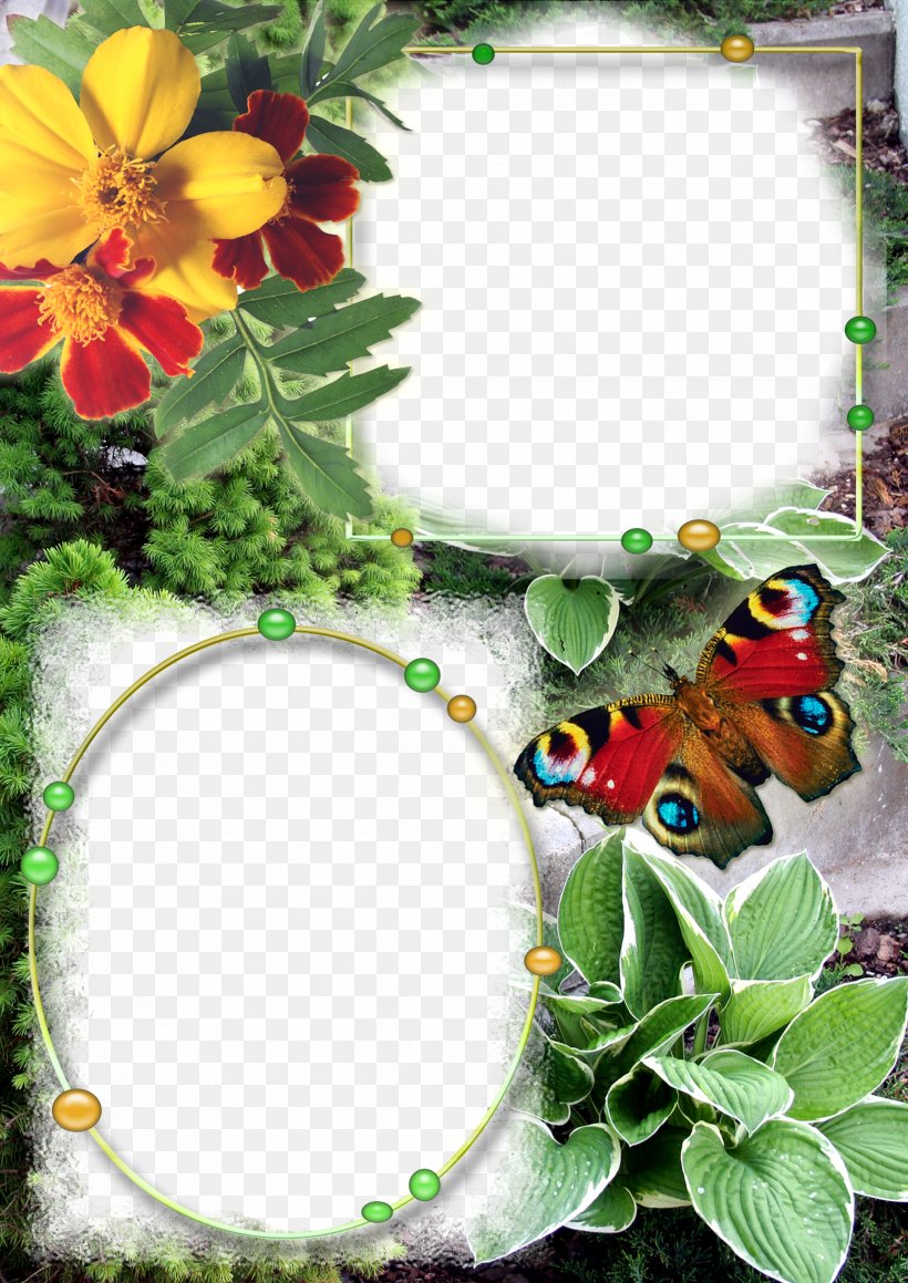 Picture Frames Photography, PNG, 2480x3508px, Picture Frames, Art, Butterfly, Camera, Flowerpot Download Free