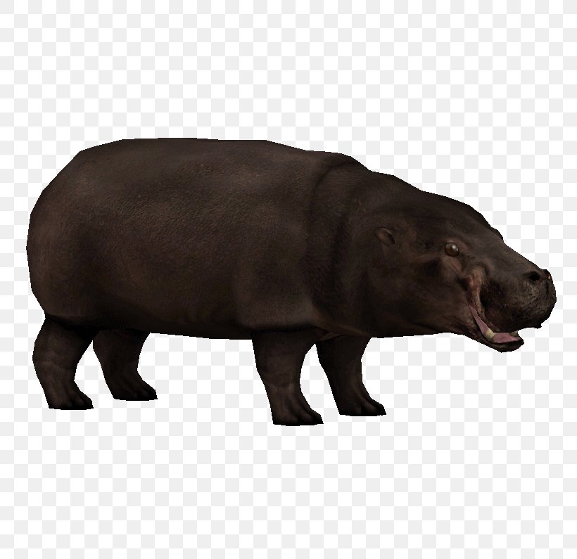 Pygmy Hippopotamus Zoo Tycoon 2: Extinct Animals Hippopotamuses, PNG, 795x795px, Pygmy Hippopotamus, Animal, Animal Figure, Endangered Species, Furniture Download Free