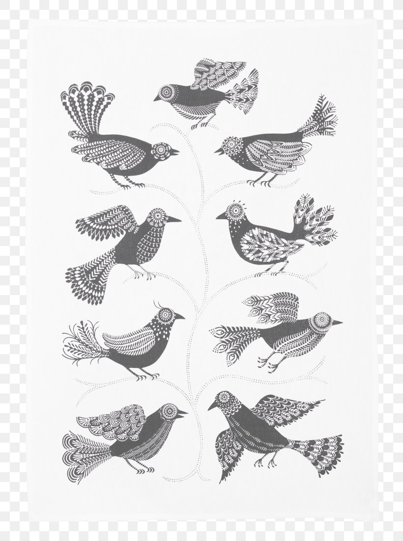 Beak Bird Budgerigar Feather Little Blue Budgie, PNG, 802x1100px, Beak, Bird, Bird Of Prey, Black And White, Budgerigar Download Free