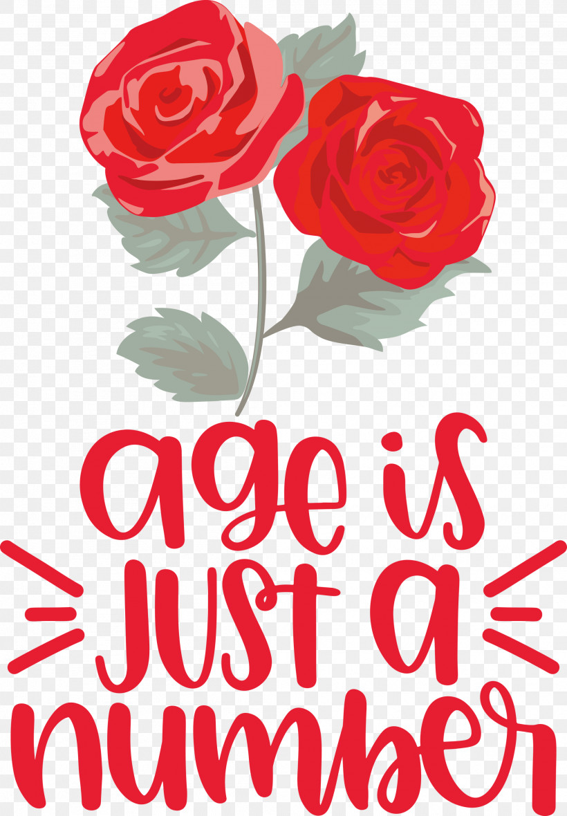 Birthday Age Is Just A Number, PNG, 2084x3000px, Birthday, Cut Flowers, Floral Design, Flower, Flower Bouquet Download Free