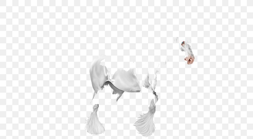 Horse Drawing Water Bird /m/02csf, PNG, 600x450px, Horse, Arm, Artwork, Bird, Black And White Download Free