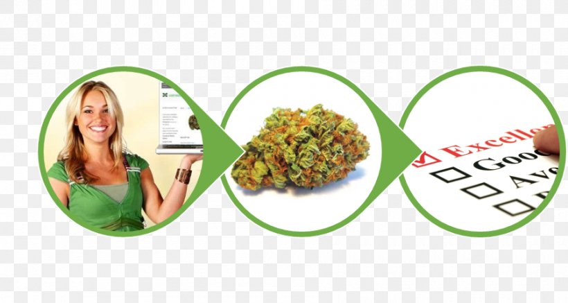 Mail Order Medical Cannabis, PNG, 900x480px, Mail, Bud, Canada, Cannabis, Dispensary Download Free