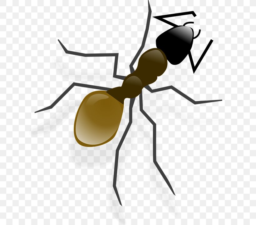 Andy Ant Clip Art, PNG, 634x720px, Ant, Andy Ant, Animation, Drawing, Eyewear Download Free