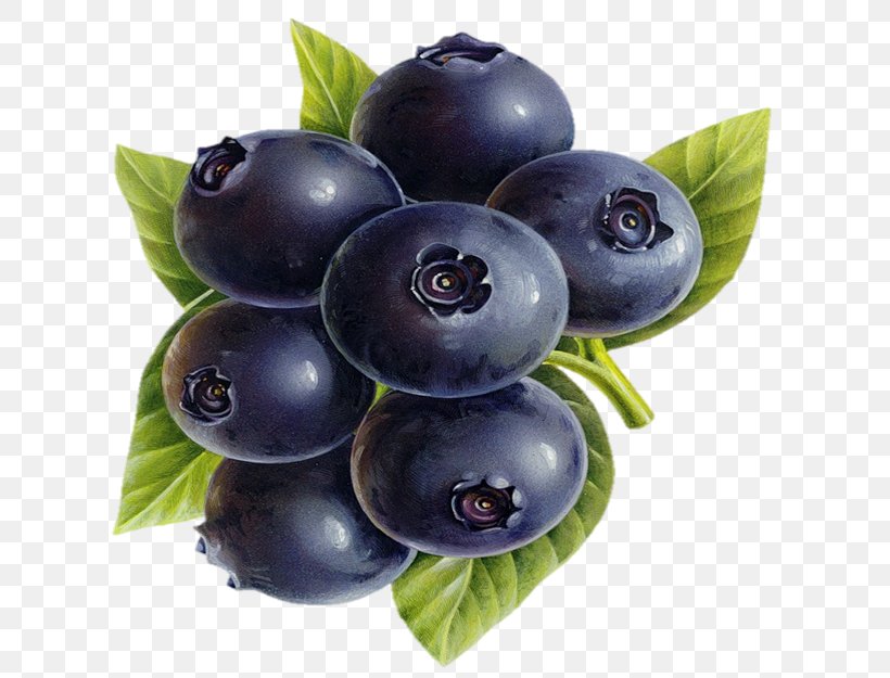 Blueberry Bilberry Antioxidant Health Dietary Supplement, PNG, 630x625px, Blueberry, Antioxidant, Auglis, Berry, Bilberry Download Free