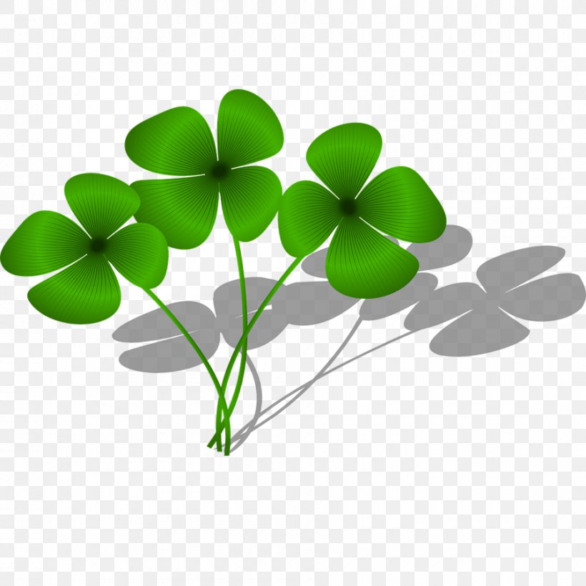 Four-leaf Clover Shamrock White Clover Luck Clip Art, PNG, 900x900px, Fourleaf Clover, Clover, Free Content, Grass, Green Download Free