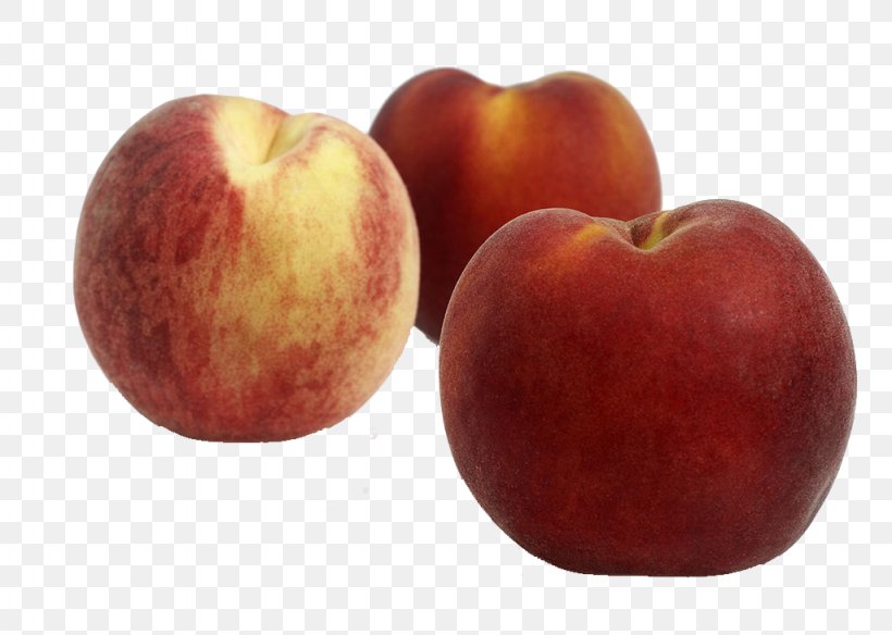 Nectarine Saturn Peach Fruit Auglis, PNG, 1024x730px, Nectarine, Apple, Auglis, Fond Blanc, Food Download Free