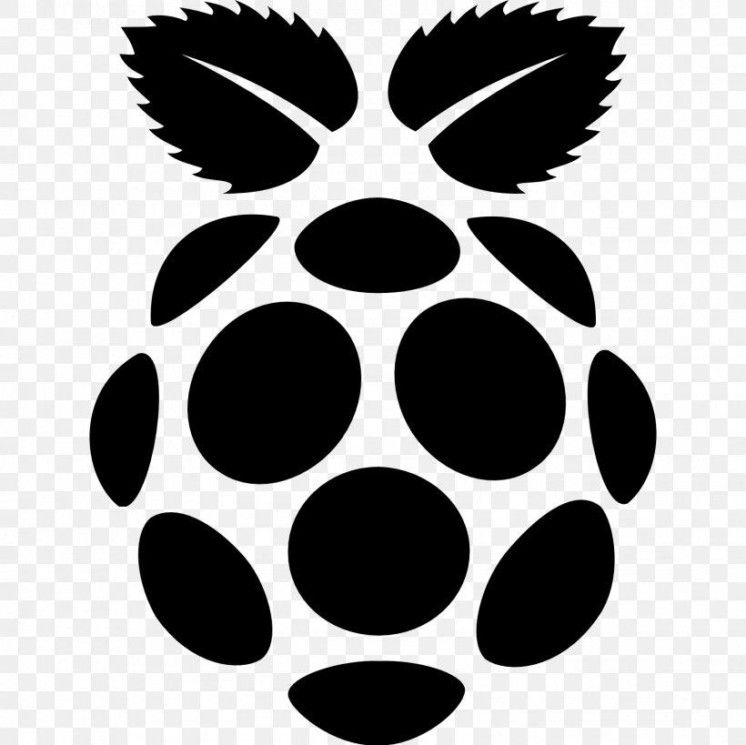 Raspberry Pi Raspbian Web Browser, PNG, 1600x1600px, Raspberry Pi, Black, Black And White, Chrome Os, Command Download Free