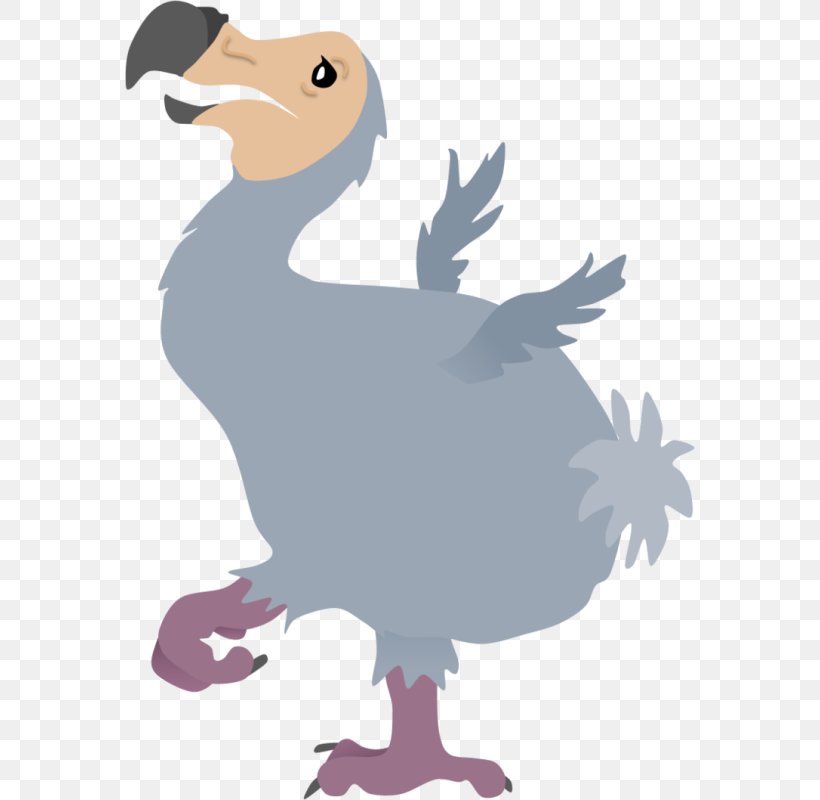 Scrat Dodo Ice Age Image Bird, PNG, 570x800px, Scrat, Beak, Bird, Cartoon, Chicken Download Free