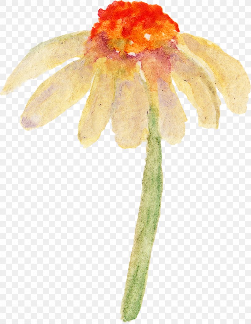Watercolor Painting, PNG, 910x1174px, Watercolor Painting, Flora, Flower, Flowering Plant, Painting Download Free