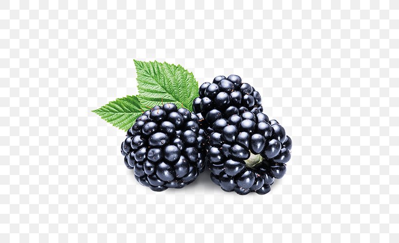 White Blackberry Raspberry Amora, PNG, 500x500px, Blackberry, Amora, Berry, Bilberry, Black Raspberry Download Free