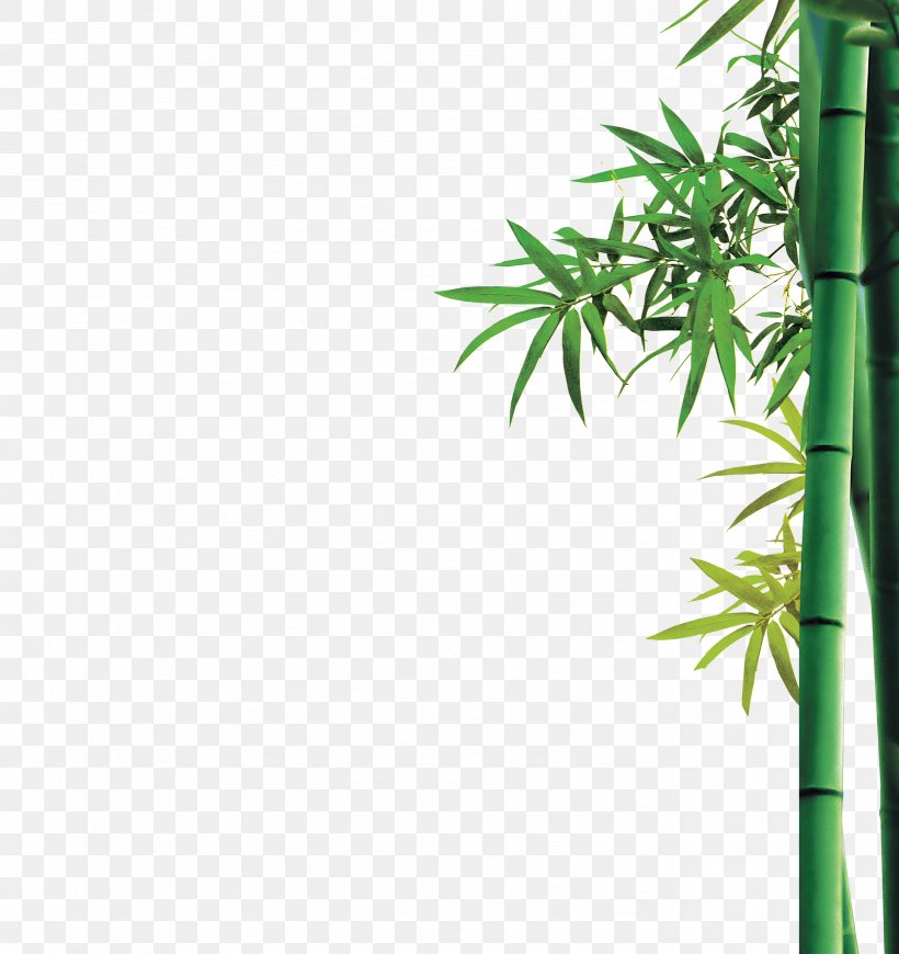 Bamboo U7af9u7c73 Icon, PNG, 2781x2953px, Bamboo, Bamboo Blossom, Grass, Green, Jewellery Download Free