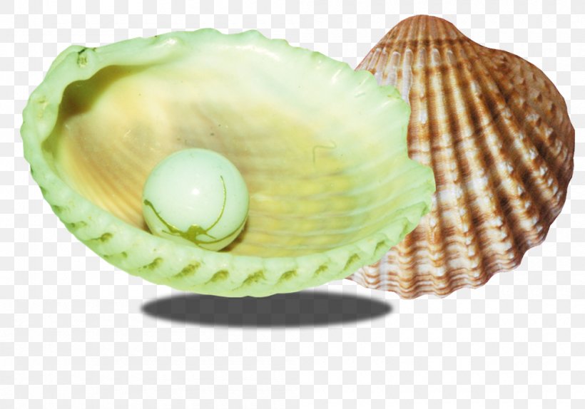 Design Home Conch Seashell Clip Art, PNG, 1000x700px, Design Home, Android, Clam, Clams Oysters Mussels And Scallops, Cockle Download Free