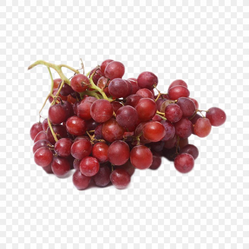 Globe Cartoon, PNG, 1600x1600px, Seedless Fruit, Accessory Fruit, Apple, Berry, Cherry Download Free