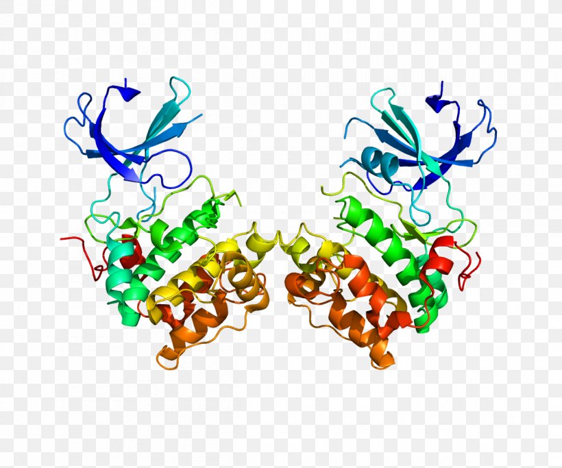 P70-S6 Kinase 1 Ribosomal S6 Kinase Ribosomal Protein S6 Protein Kinase, PNG, 1200x1000px, P70s6 Kinase 1, Art, Enzyme, Gene, Kinase Download Free