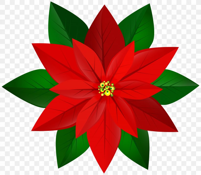 Poinsettia Christmas Clip Art, PNG, 8000x7003px, Poinsettia, Art, Christmas, Document, Flower Download Free