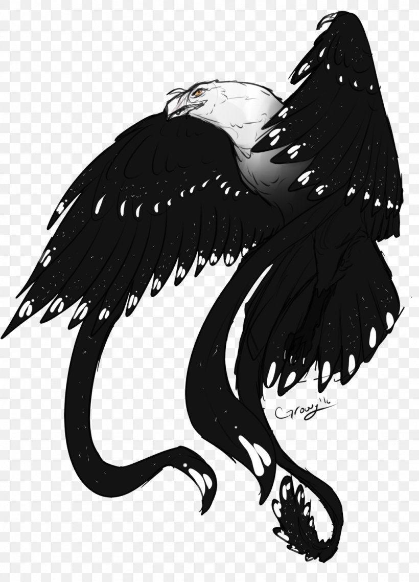 Bird Of Prey Legendary Creature Beak Feather, PNG, 1024x1422px, Bird, Beak, Bird Of Prey, Black And White, Feather Download Free