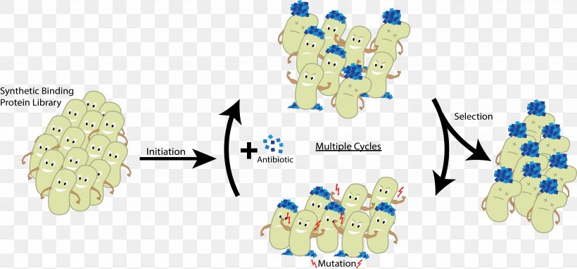 CeBiTec Protein International Genetically Engineered Machine Directed Evolution Mutagenesis, PNG, 5527x2579px, Cebitec, Area, Bielefeld, Cartoon, Diagram Download Free