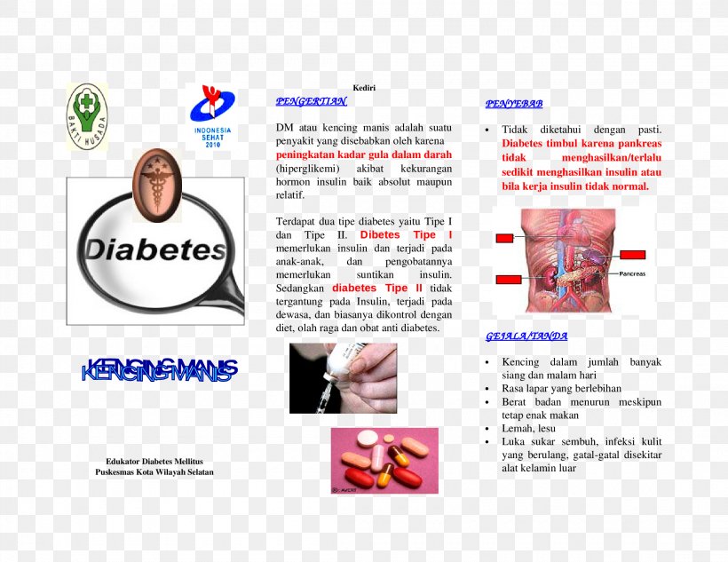Diabetes Mellitus Type 2 Insulin Hyperglycemia Bronchopneumonia, PNG, 2200x1700px, Diabetes Mellitus, Advertising, Blood Sugar, Brand, Brochure Download Free