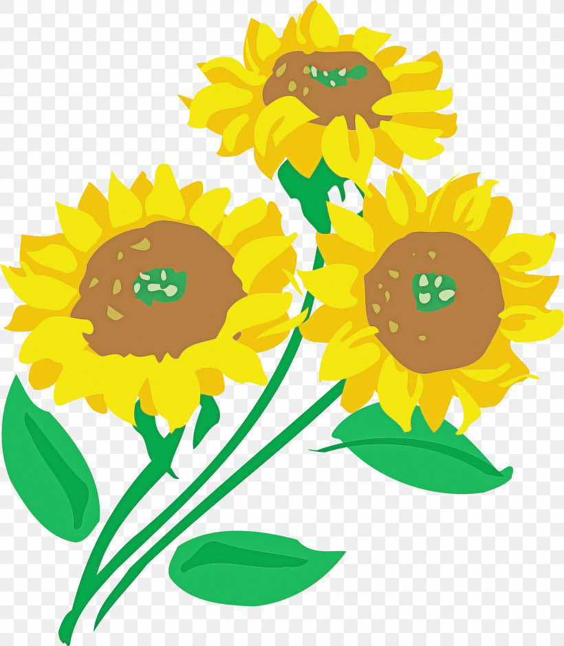 Sunflower, PNG, 2619x3000px, Sunflower, Asterales, Cartoon, Cut Flowers, Daisy Family Download Free