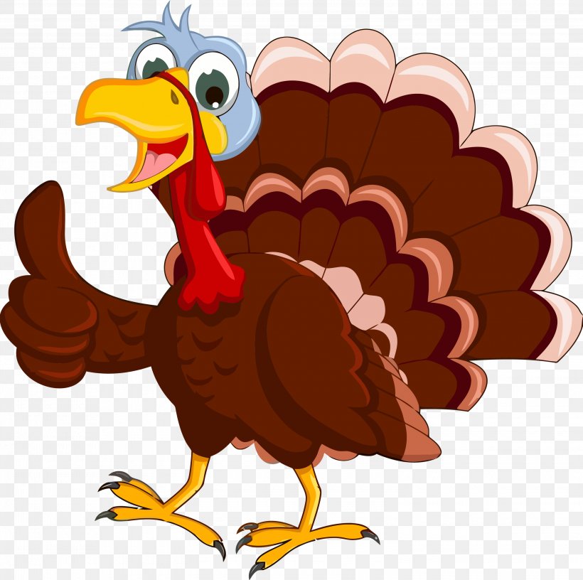 Thanksgiving Turkey, PNG, 3000x2986px, Thanksgiving Turkey, Beak, Bird, Cartoon, Chicken Download Free