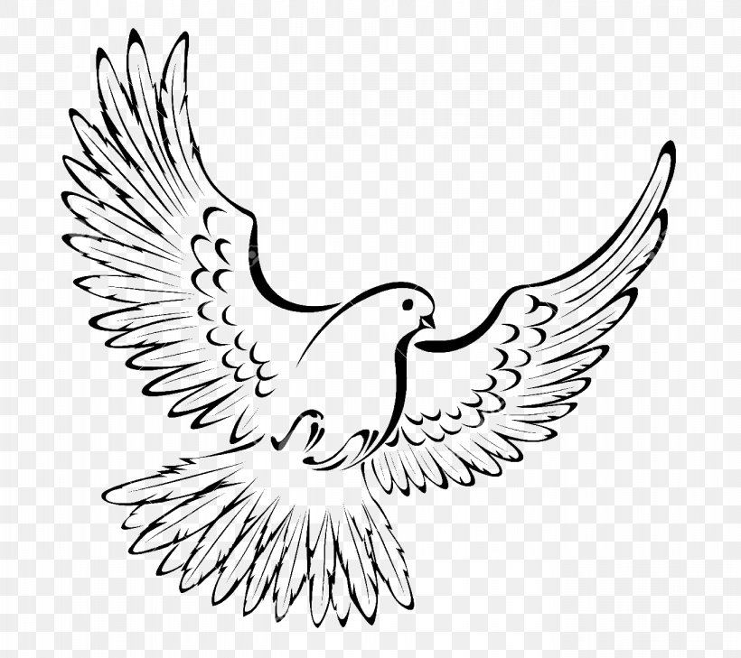 Bird Pigeons And Doves Vector Graphics Drawing Royalty-free, PNG, 1365x1215px, Bird, Area, Artwork, Beak, Black And White Download Free