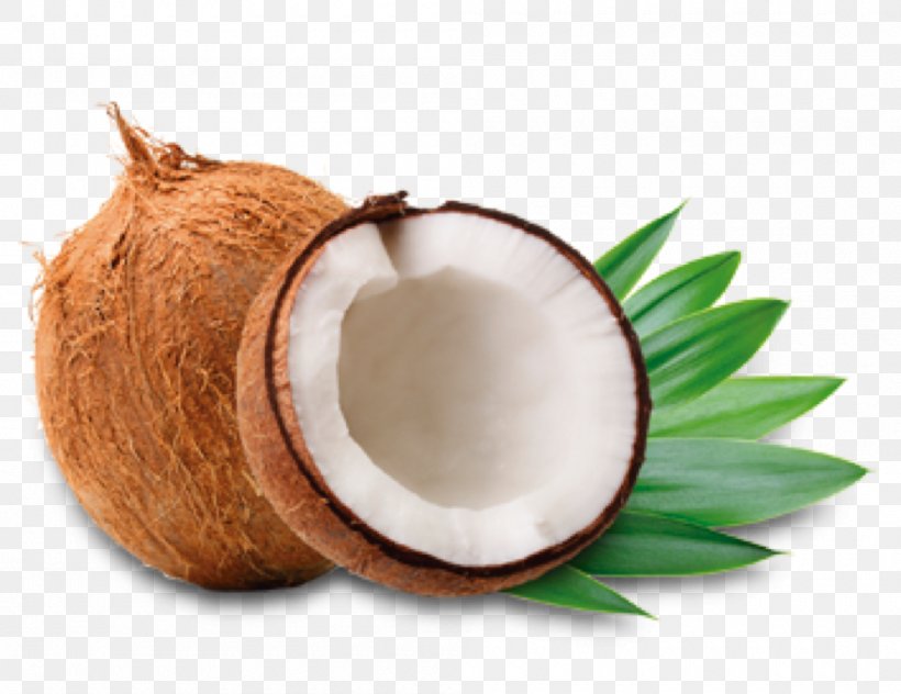 Coconut Water Coconut Oil Coconut Milk, PNG, 1000x771px, Coconut Water, Coconut, Coconut Milk, Coconut Milk Powder, Coconut Oil Download Free