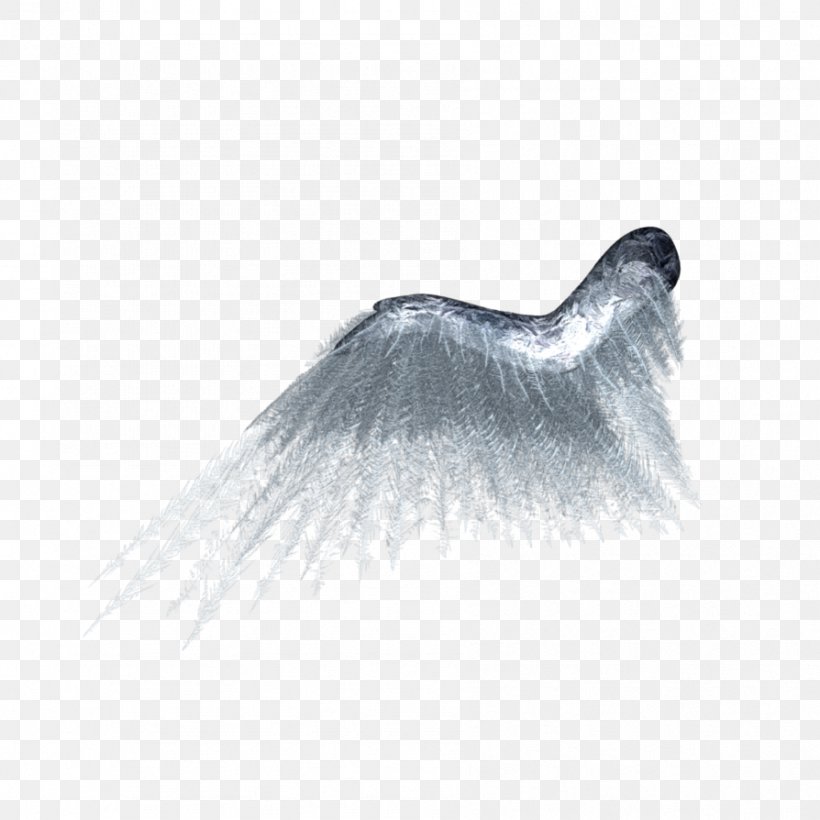 DeviantArt Wing Butterfly, PNG, 894x894px, Deviantart, Butterfly, Digital Art, Eyelash, Frost Download Free