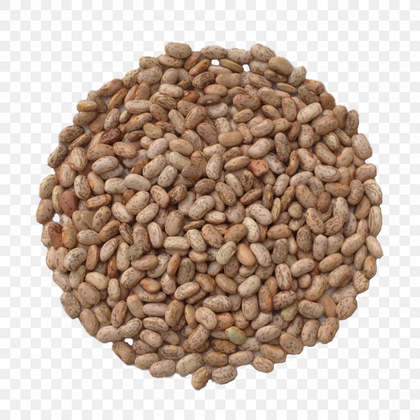 Refried Beans Common Bean Seed Nut Soybean, PNG, 3612x3612px, Refried Beans, Broad Bean, Chia, Commodity, Common Bean Download Free