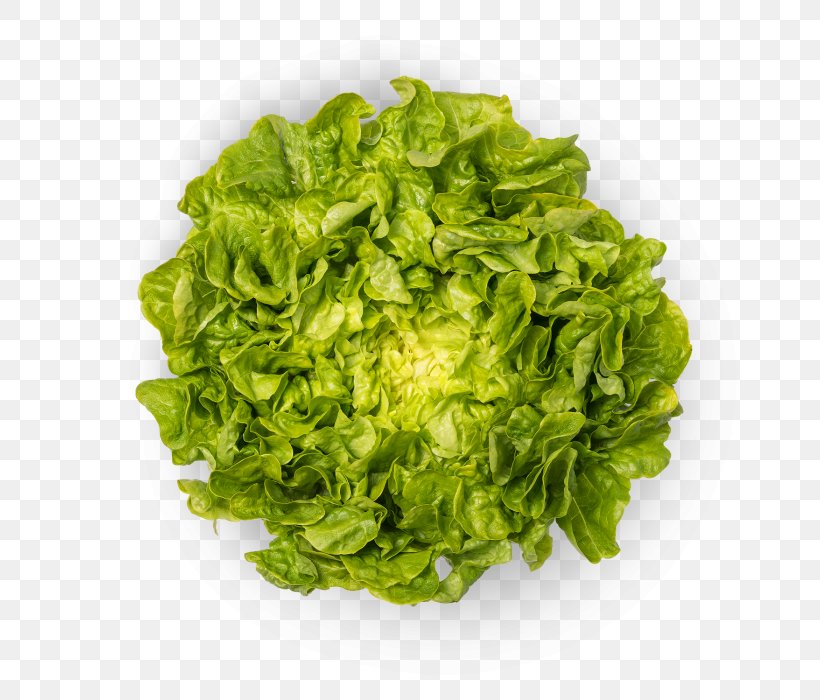 Romaine Lettuce Bio Suisse Green Food Produce, PNG, 700x700px, Romaine Lettuce, Bio Suisse, Cabbage, Cruciferous Vegetables, Flavor Download Free