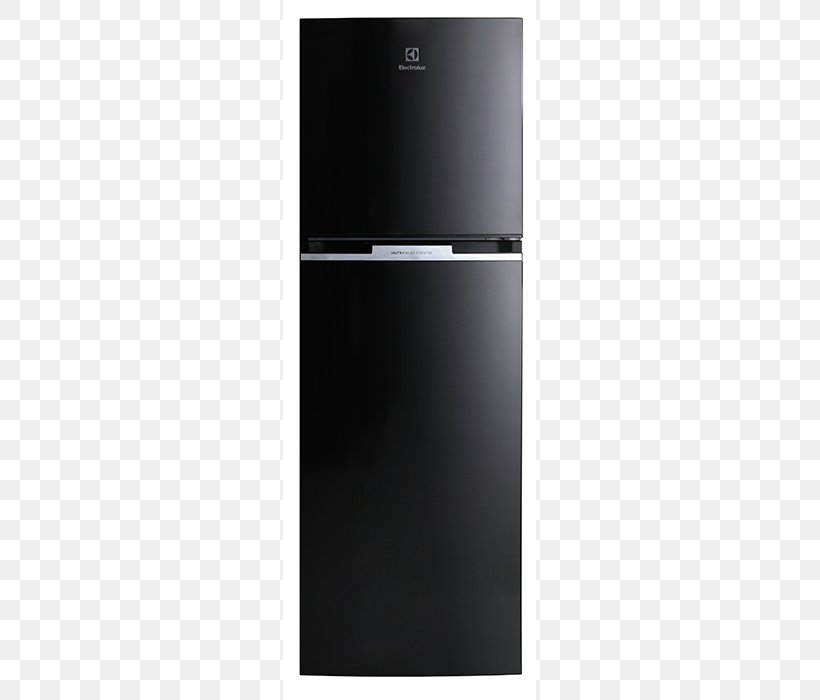 Electrolux Thailand Refrigerator Door Home Appliance, PNG, 700x700px, Electrolux, Beko, Clothes Iron, Door, Haier Download Free