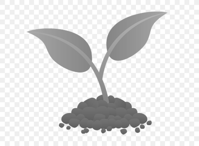 Plant Soil Seed Agriculture Leaf, PNG, 600x600px, Plant, Agriculture, Black And White, Common Milkweed, Germination Download Free