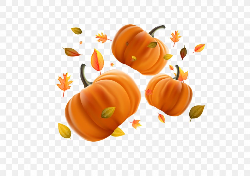 Pumpkin Calabaza Halloween Jack-o'-lantern, PNG, 2339x1654px, Calabaza, Cartoon, Cucurbita, Food, Fruit Download Free