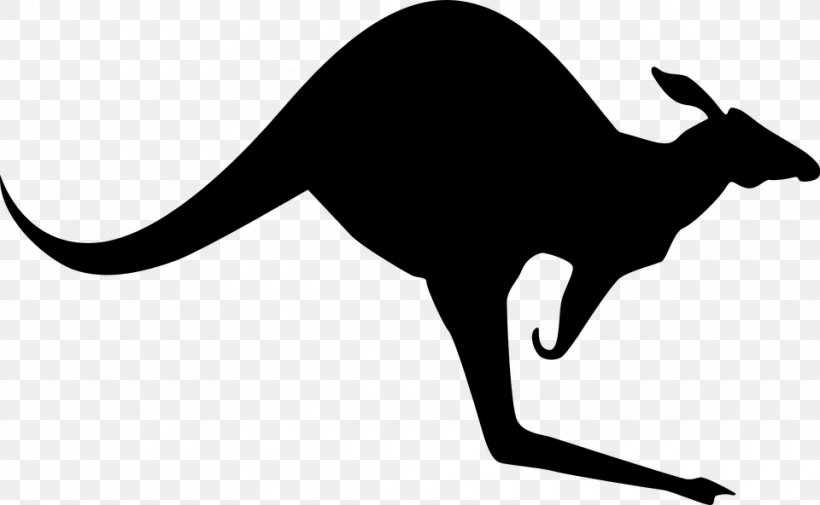 Kangaroo Pixabay Clip Art, PNG, 960x592px, Australia, Animal, Black, Black And White, Carnivoran Download Free