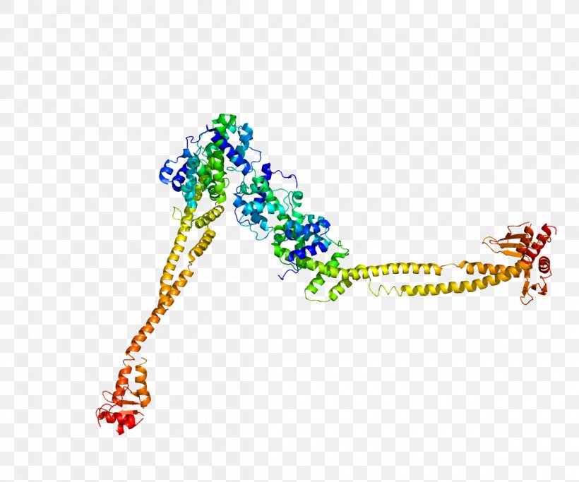 NUF2 CENPA Protein Centromere Kinetochore, PNG, 1200x1000px, Watercolor, Cartoon, Flower, Frame, Heart Download Free