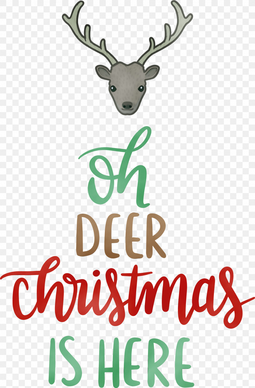 Reindeer, PNG, 1973x3000px, Christmas Is Here, Antler, Deer, Meter, Paint Download Free
