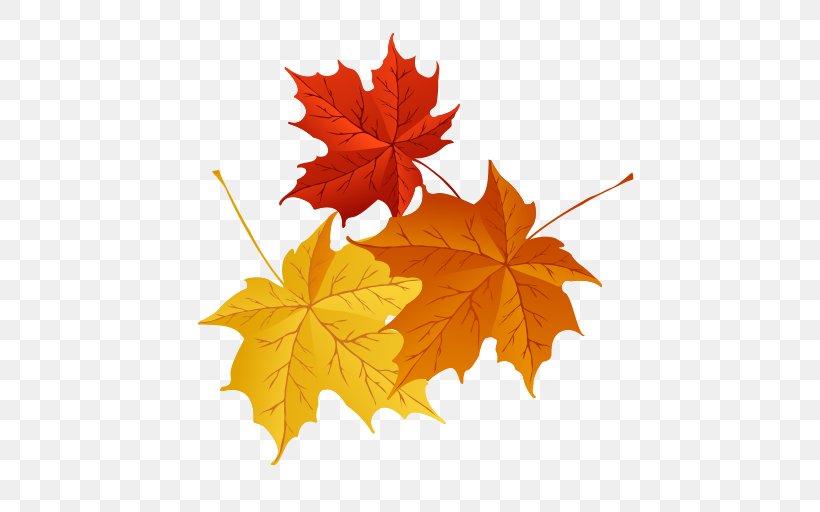 Vector Graphics Clip Art Autumn Illustration Royalty-free, PNG, 512x512px, Autumn, Autumn Leaf Color, Flowering Plant, Leaf, Maple Leaf Download Free