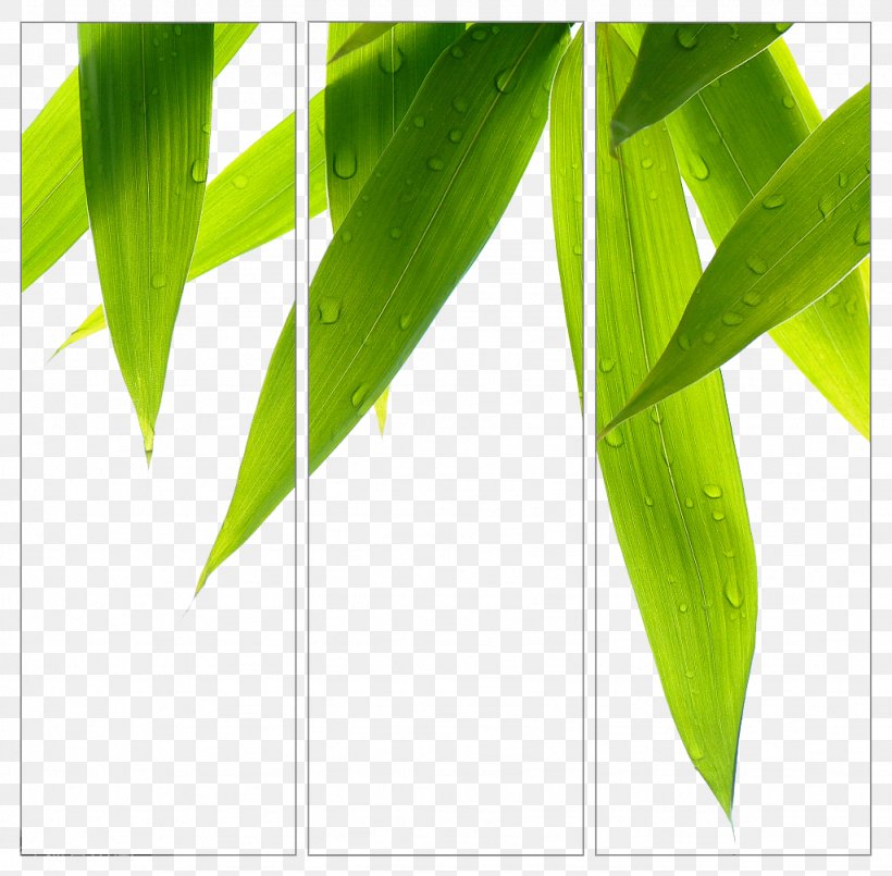 Bamboo Leaves Background, PNG, 1024x1006px, Pleioblastus, Art, Bamboe, Bamboo, Banana Leaf Download Free