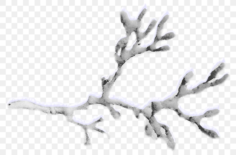 Branch Snow Tree Twig, PNG, 800x540px, Branch, Drawing, Line Art, Organism, Photography Download Free