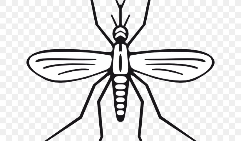 Drawing Clip Art Insect Vector Graphics Marsh Mosquitoes, PNG, 640x480px, Drawing, Artwork, Black And White, Fly, Household Insect Repellents Download Free