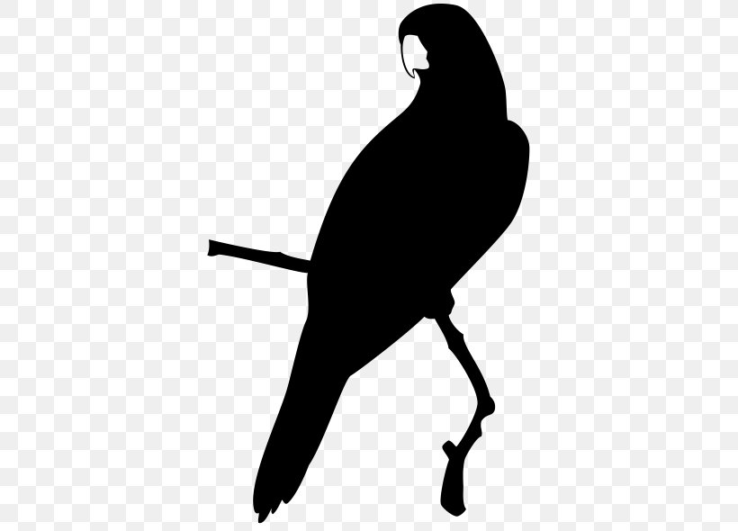 Parrot Beak Clip Art, PNG, 700x590px, Parrot, Beak, Bird, Black, Black And White Download Free