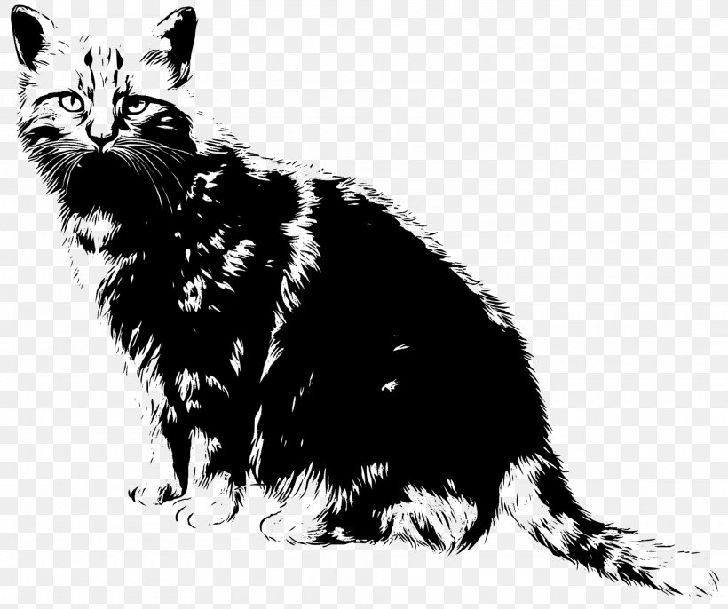 T-shirt Cat Kitten Drawing Hoodie, PNG, 1920x1607px, Tshirt, Art, Black, Black And White, Black Cat Download Free