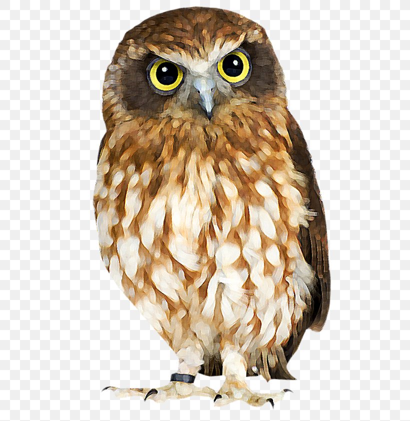 Eurasian Eagle-owl Bird True Owl Skazki I Kartinki Child, PNG, 562x842px, Eurasian Eagleowl, Age, Beak, Bird, Bird Of Prey Download Free
