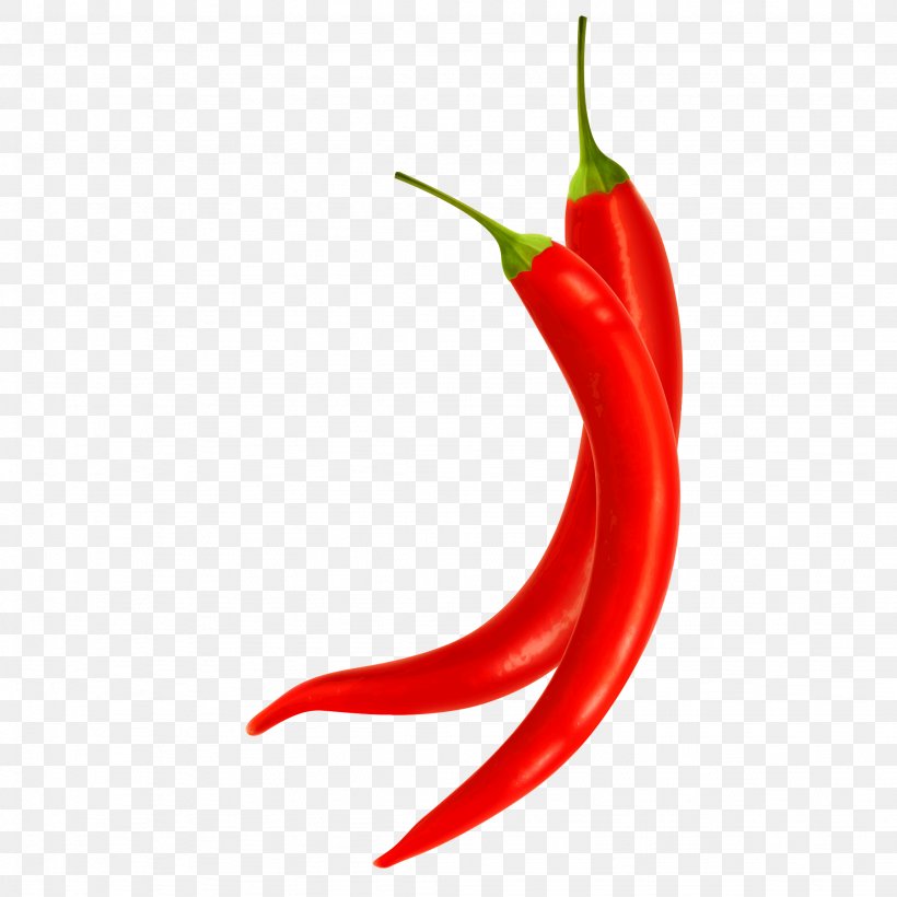 Habanero Capsicum Annuum Var. Acuminatum Bird's Eye Chili Tabasco Pepper Chili Con Carne, PNG, 2048x2048px, Habanero, Bell Peppers And Chili Peppers, Birds Eye Chili, Capsicum, Capsicum Annuum Var Acuminatum Download Free
