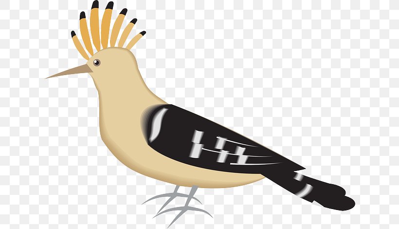 Bryanston Sports Club Bird Eurasian Hoopoe Clip Art, PNG, 640x470px, Bird, Beak, Drawing, Eurasian Hoopoe, Fauna Download Free
