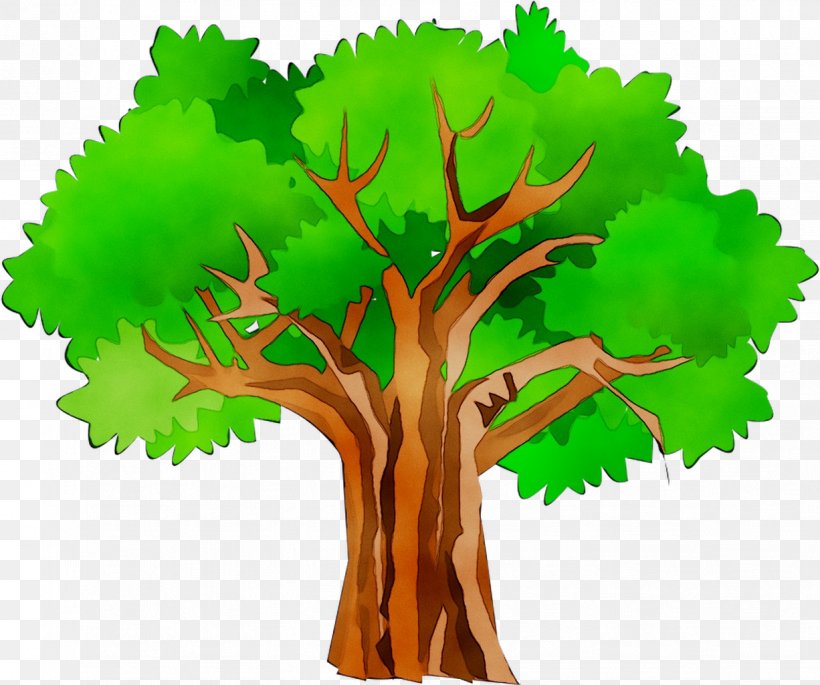 Clip Art Openclipart Free Content Tree Illustration, PNG ...