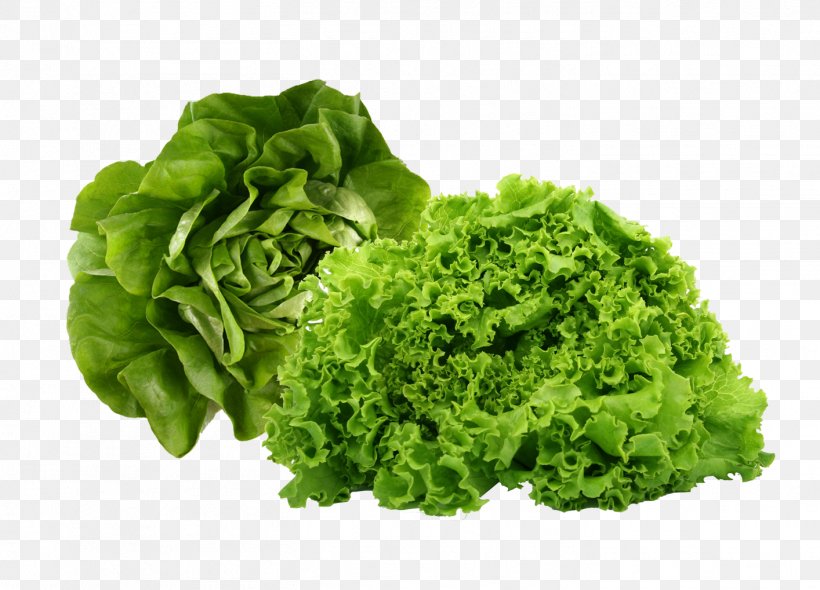 Leaf Vegetable Health Food Butterhead Lettuce, PNG, 1414x1019px, Watercolor, Cartoon, Flower, Frame, Heart Download Free